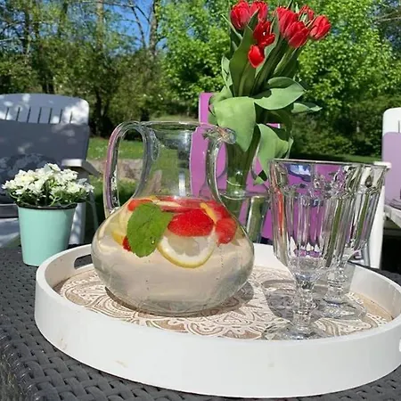 Moulin De Lausseignan Barbaste